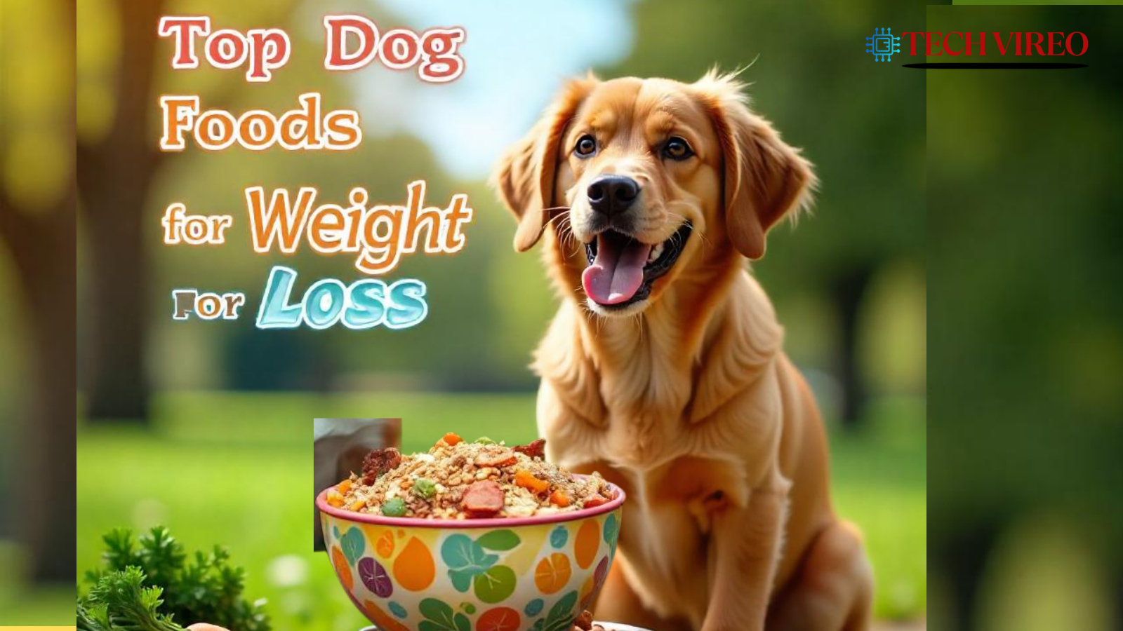 best dog food for weight loss
