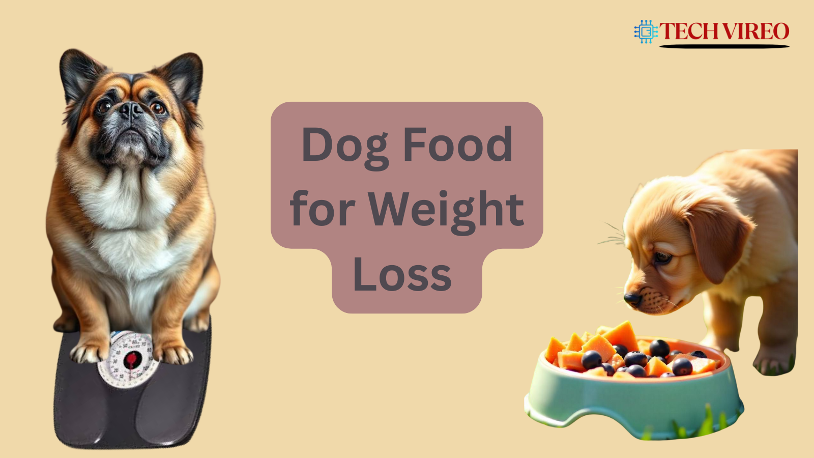 healthy weight dog food