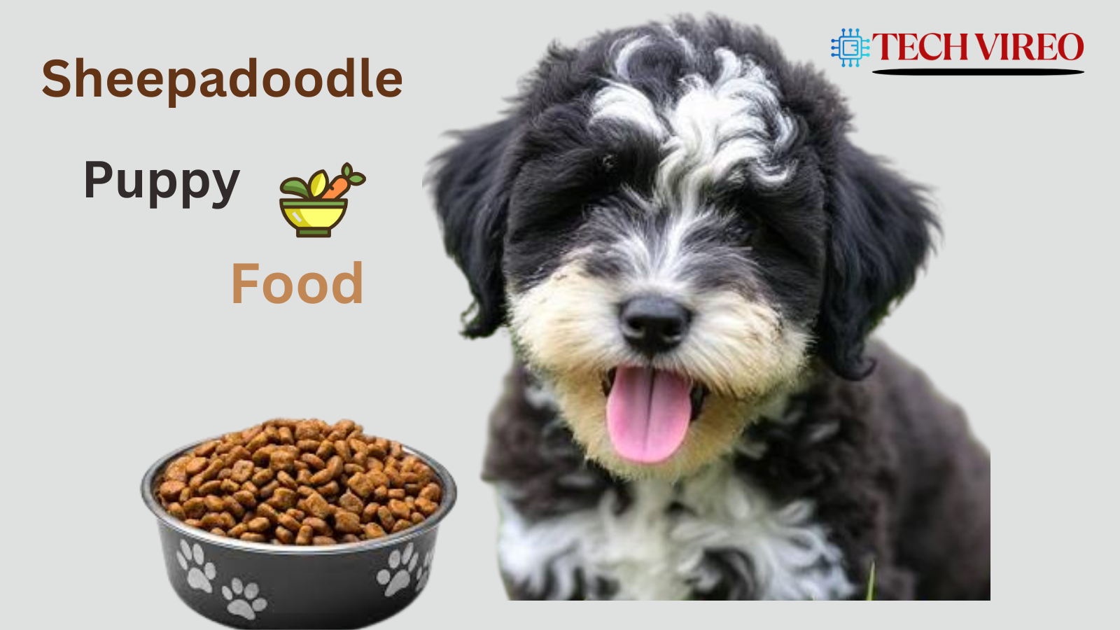best puppy food for Sheepadoodle