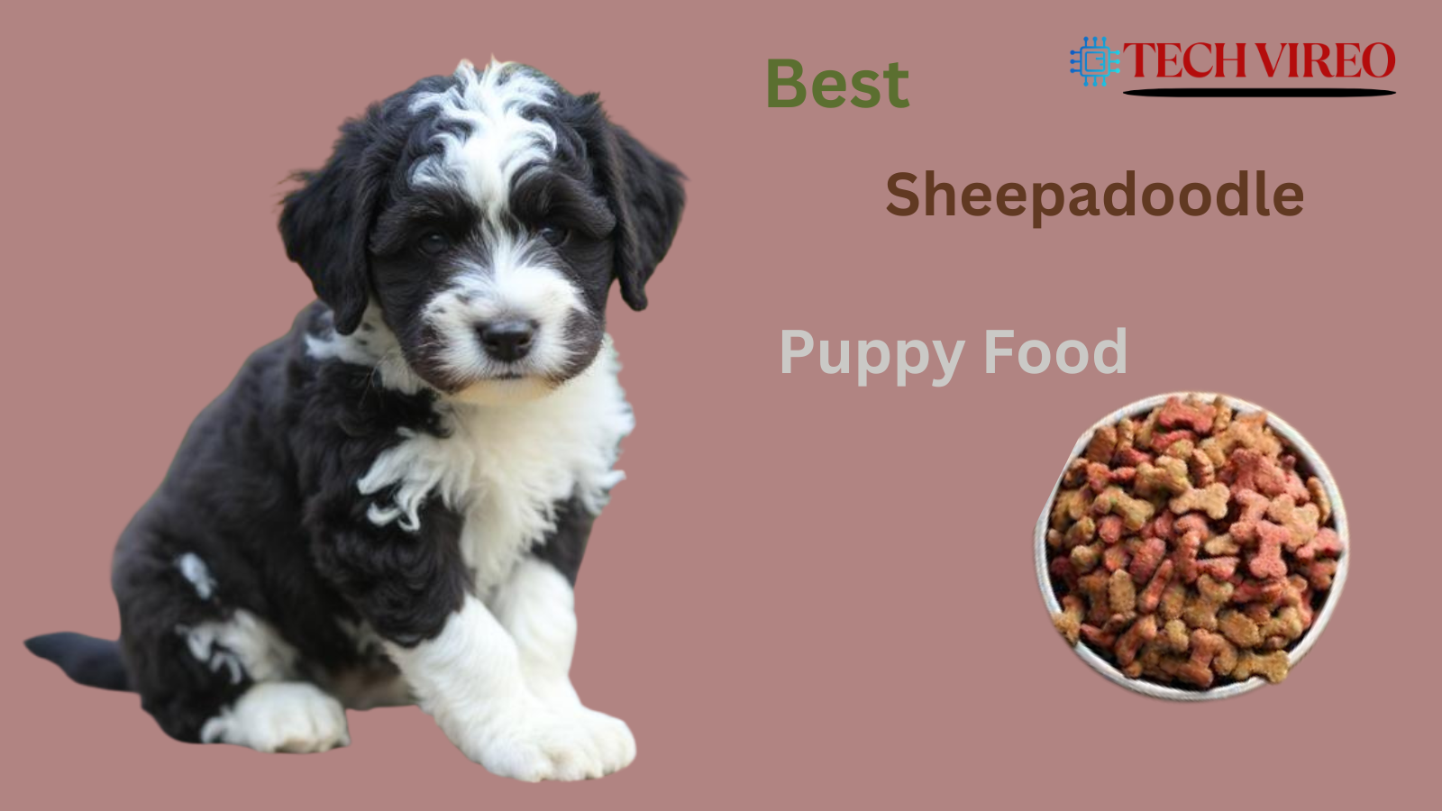 Sheepadoodle puppy food