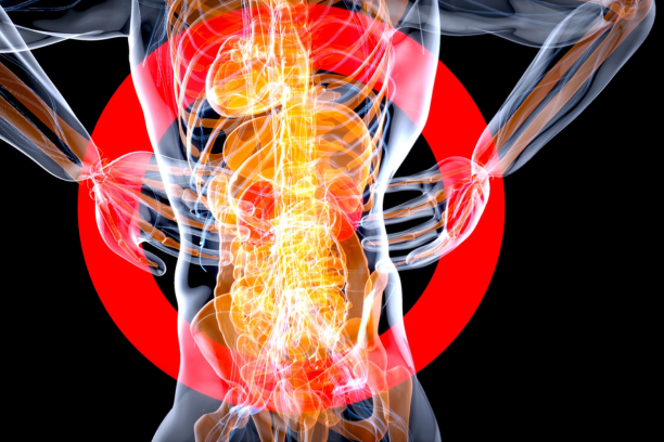 10 Signs of an Unhealthy Gut & How to Restore Balance in 2025