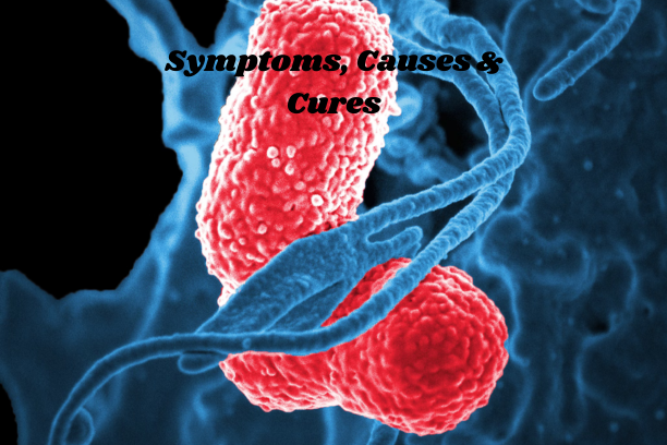 "Symptoms, Causes & Cures"