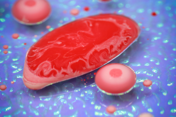“Illustration of gut bacteria thriving with fermented foods in 2025”