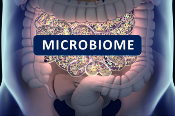 Gut health and microbiome