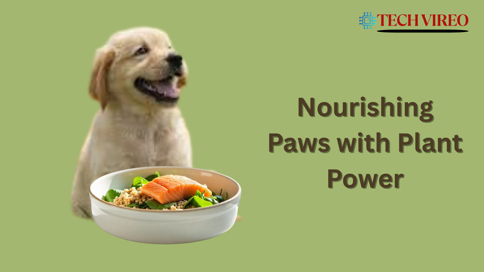 vegan dog food