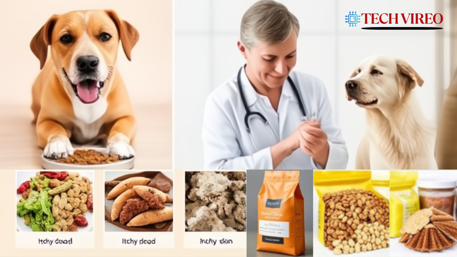 best dog food for skin allergies