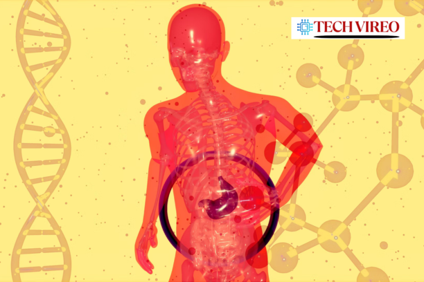 "Stool test reveals gut microbiome diversity and health markers"