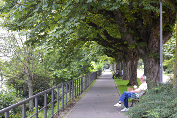 "Digital detox in nature for anxiety relief"