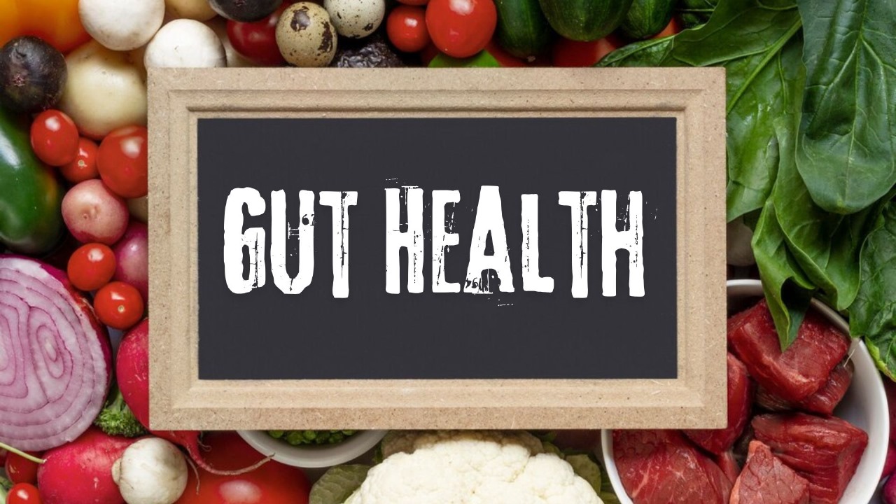 Gut Health